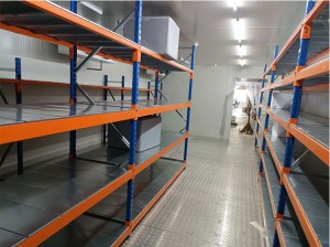 Factory Price Long Span Shelving Racks for Cold Storage