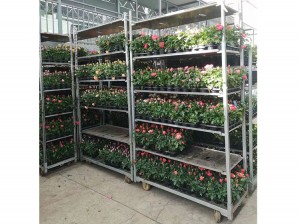 Professional Quality Danish Flower Trolley Cart For Greenhouse From China