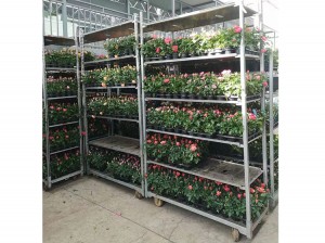 Professional Quality Danish Flower Trolley Cart...