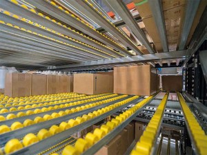 FIFO carton flow racking systems