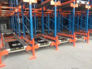 Automated Pallet Shuttle for Radio Shuttle Racks
