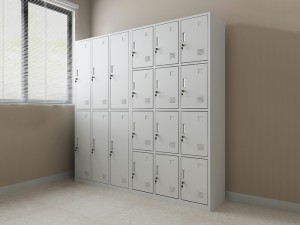 Metal Storage Locker