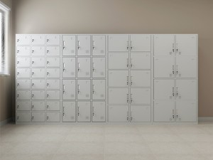 Metal Storage Locker