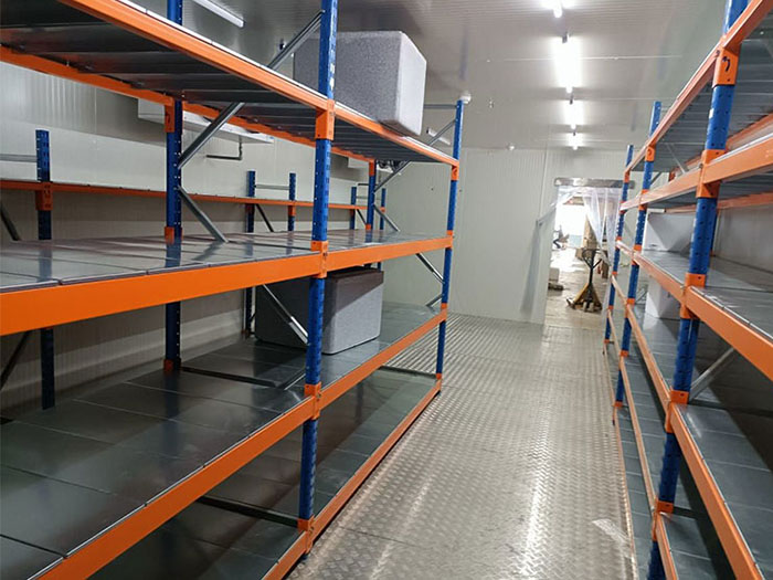 Factory Price Long Span Shelving for Cold Storage