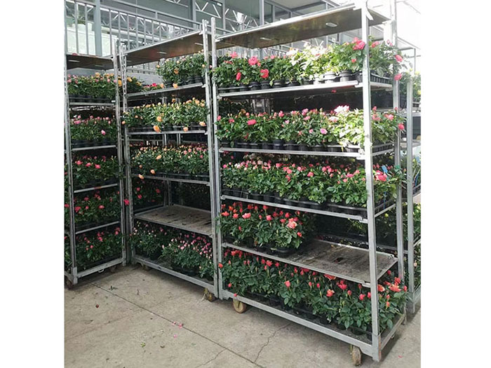Danish Flower Trolley Cart For Greenhouse From China